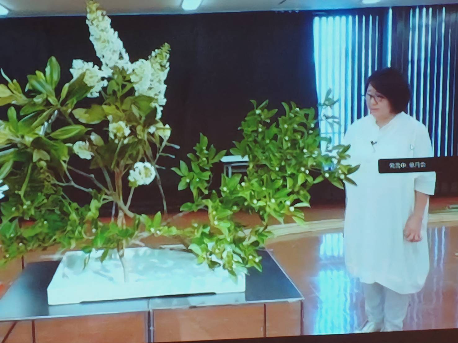 IMG_6032.jpg (1477×1108)